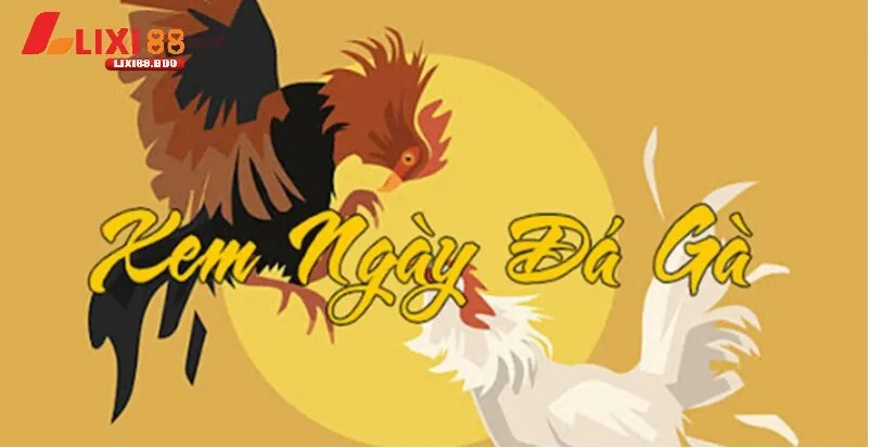 Cách xem mạng đá gà theo màu - Bí quyết không thể bỏ qua - id Chọn ngày thi đấu theo mạng gà để nâng cao tỷ lệ thắng