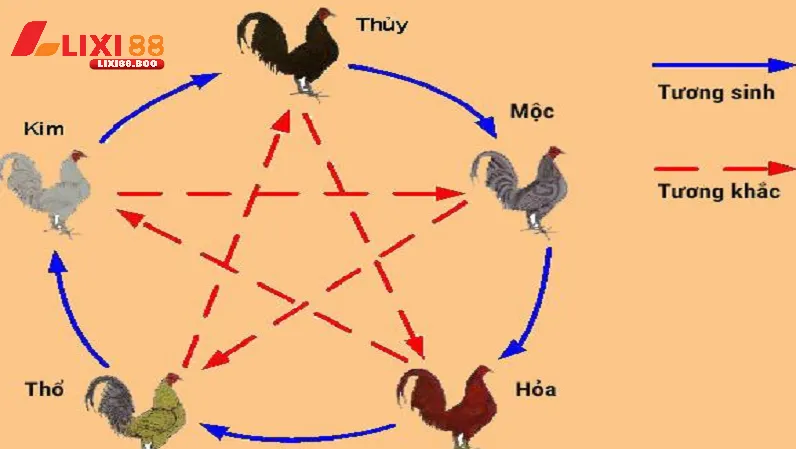 Cách xem mạng đá gà theo màu - Bí quyết không thể bỏ qua - id Màu mạng gà đá là gì? Vì sao lại quan trọng?