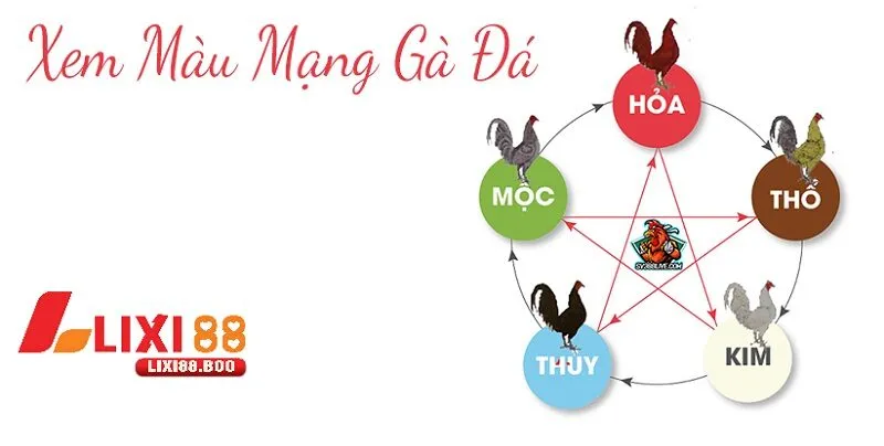 Cách xem mạng đá gà theo màu - Bí quyết không thể bỏ qua - id Các mẹo nhỏ giúp ghi nhớ màu mạng nhanh chóng
